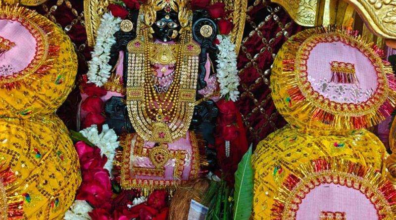 basant-punchmi-mahotsav-at-kherabad-raj