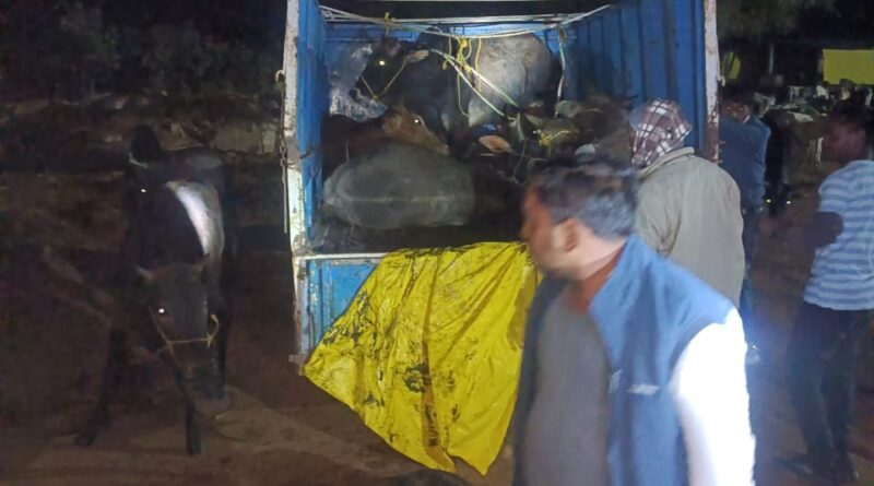 upp-raid-kushiyara-forest