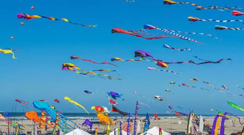 kite-festival-jaipur-14th-jan