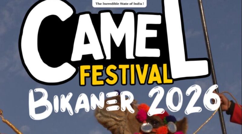 international-camel-festival
