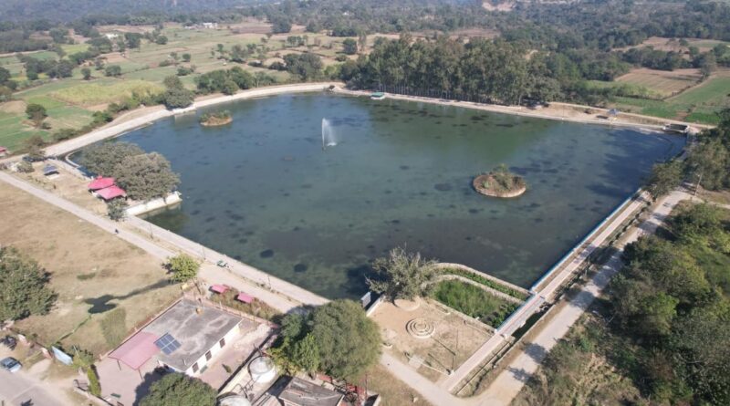 una-haroli-taalab-dcm