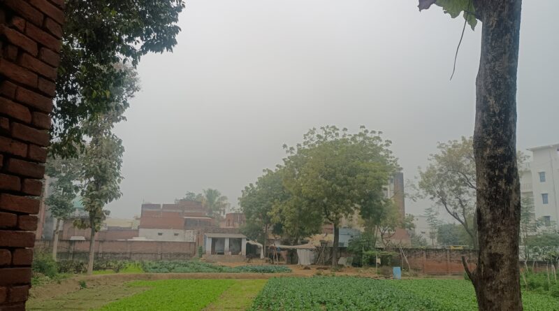 the-weather-took-a-turn-cold-