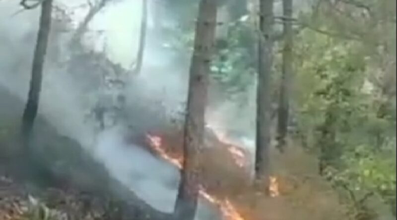 uk-forest-fire-mock-drill