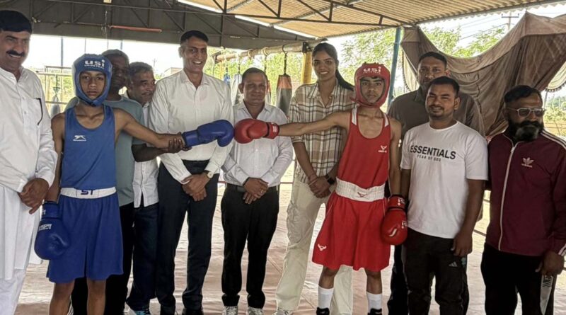 organising-a-boxing-championsh