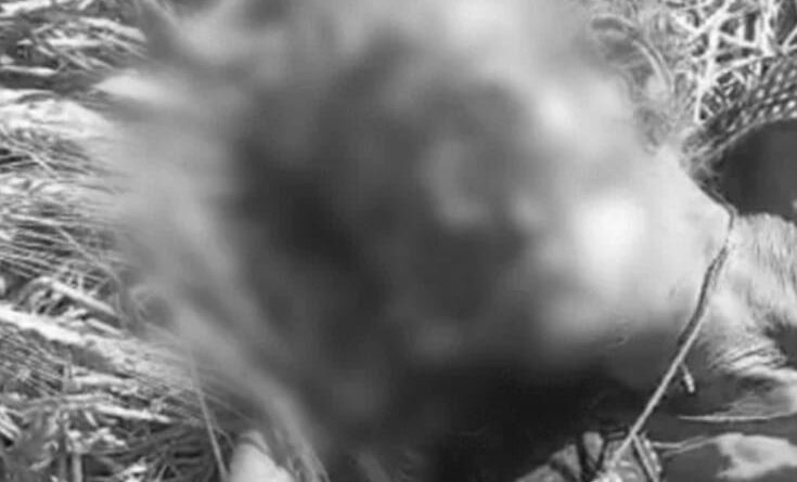 old-woman-is-death-due-to-farm