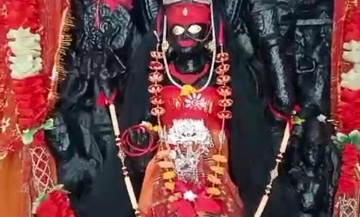 lions-come-to-visit-maa-birasi