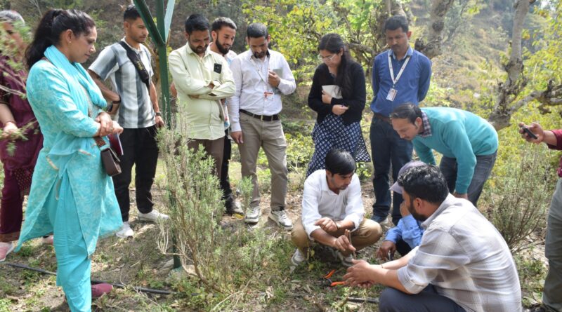 under-guidance-director