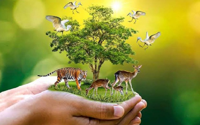 mp-strict-action-will-be-taken-against-illegal-sal