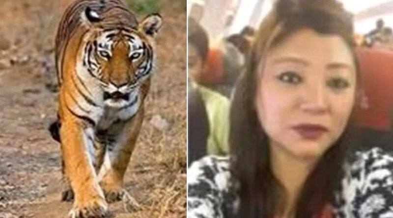 mp-international-tiger-smuggler-yangchen-lachungpa