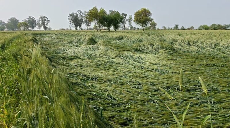 weather-changed-due-to-rain-t