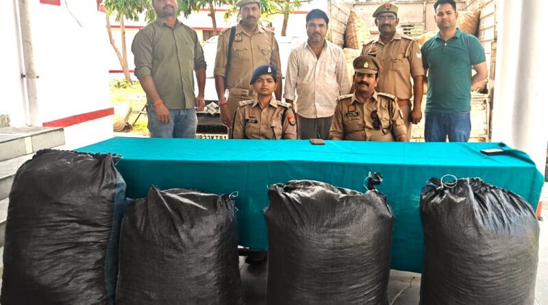 up-one-caught-with-125-q-gan