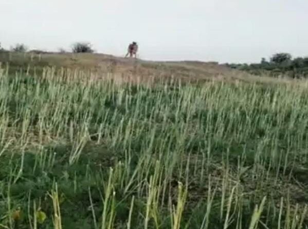 allegations-of-occupation-of-