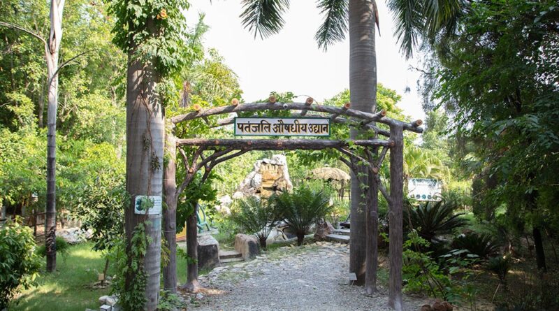 uk-patanjali-chandan-van-model