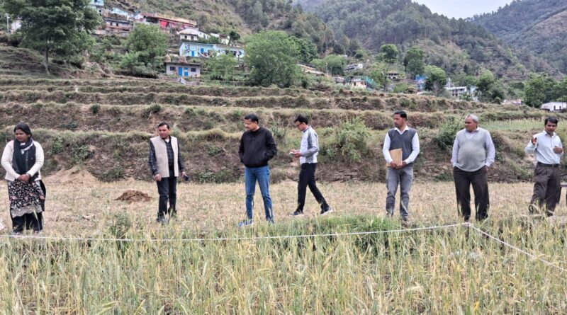 chief-development-officer-giri