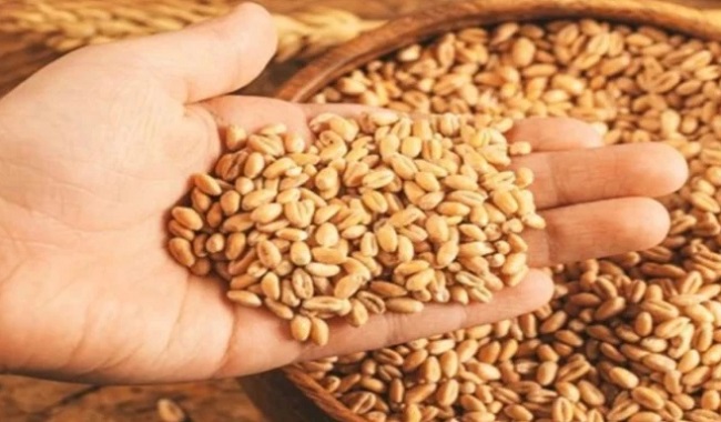 mp-wheat-procurement-slot-booking-starts-today-pro