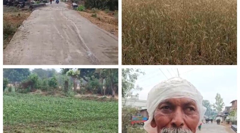 unseasonal-rains-have-brought-