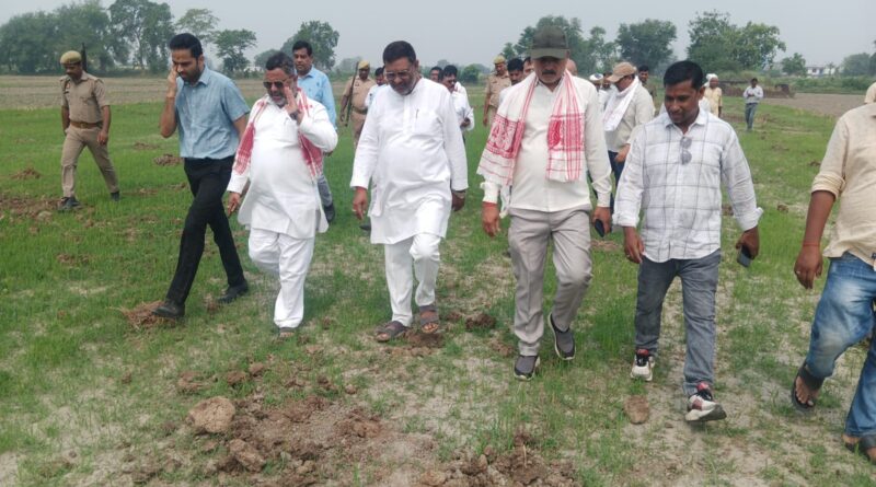 dm-sp-inspected-the-proposed-p