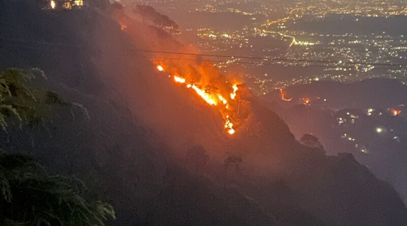forest-fire-258-incident-loss