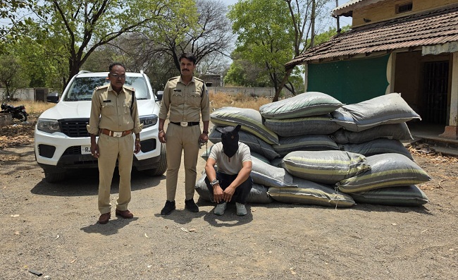mp-police-crackdown-on-illegal-drugs-seizes-over-r