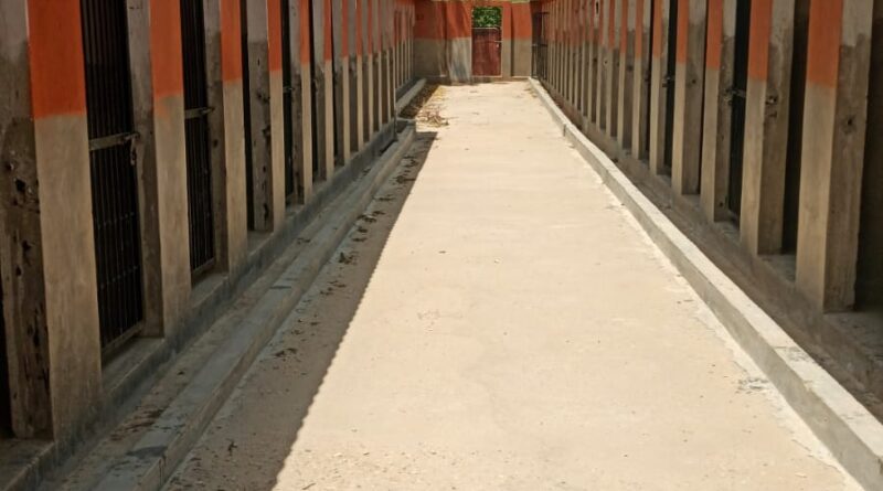 two-new-shelter-homes-built-for-ferocious-rabies-