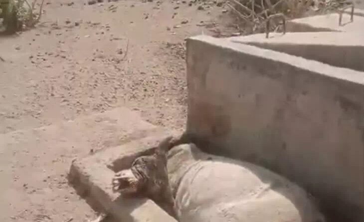 barmer-scorching-heat-and-water-crisis