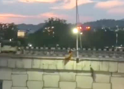 uk-women-jumping-flyover