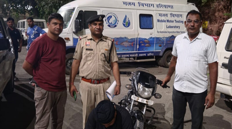 -six-drug-smugglers-arrested