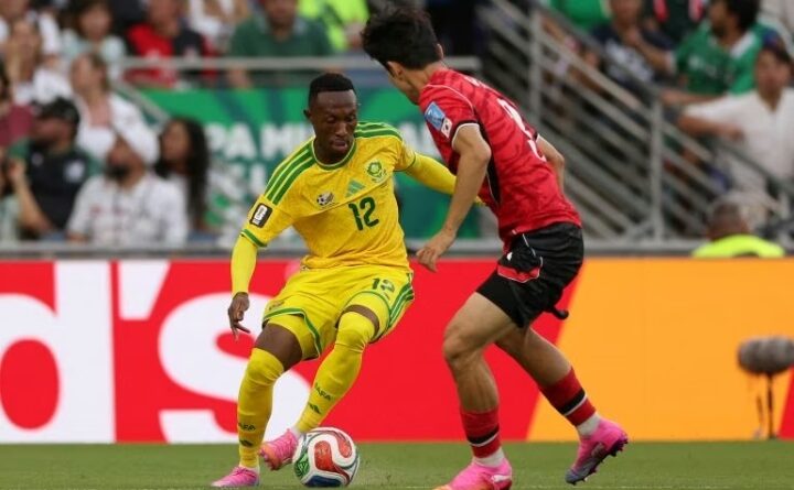 sports-football-fifa-wc-southafrica-bt-korea