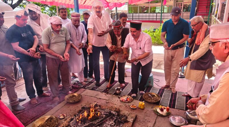 kangra-dy-whip-nerti-fait