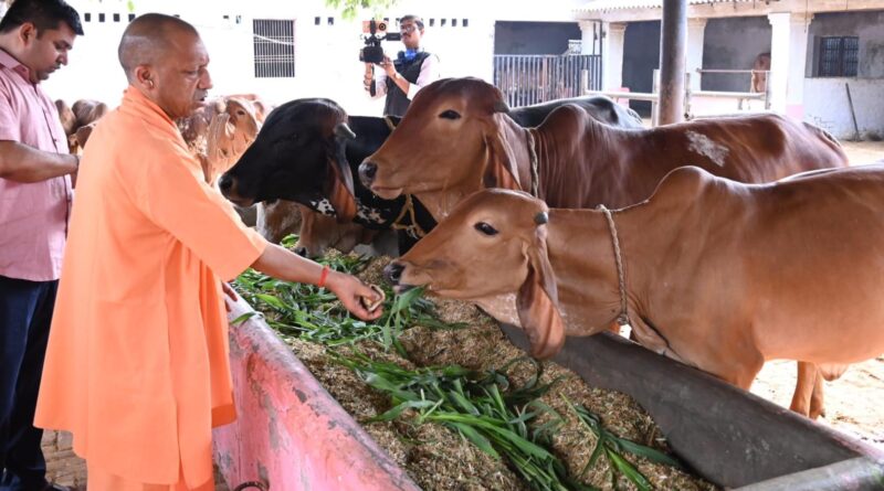 up-cm-yogi-devi-patan-tulsipur