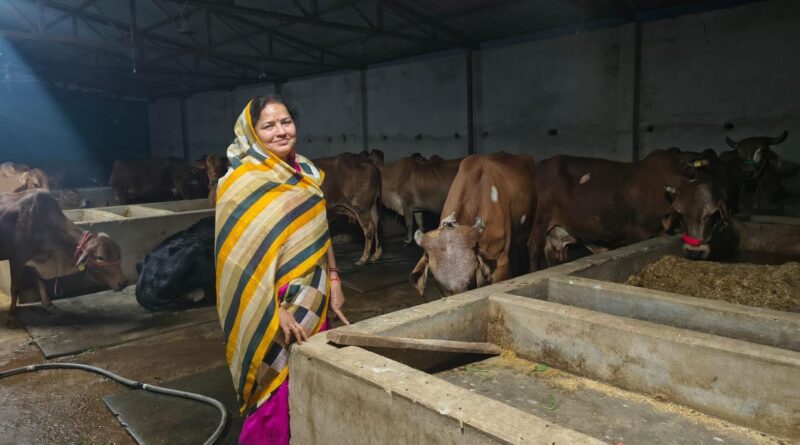 prayagraj-nandini-yojana-sakun