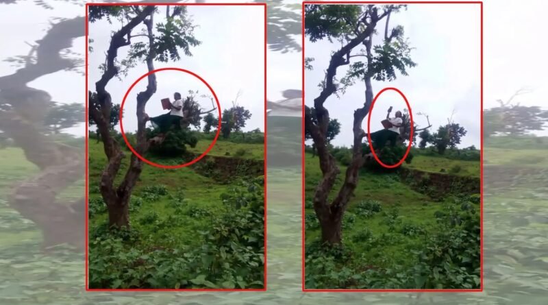 video-goes-viral-anm-climbs-t