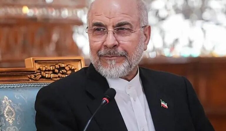 lebanon-de-conf-cell-envoy
