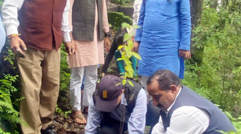 tree-plantation-drive-dsb