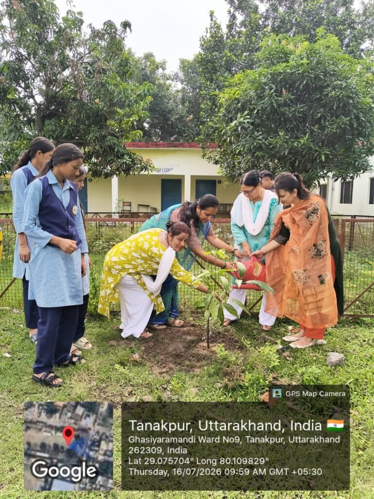uk-champawat-fruit-plantation
