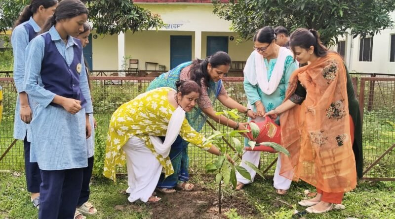 uk-champawat-fruit-plantation