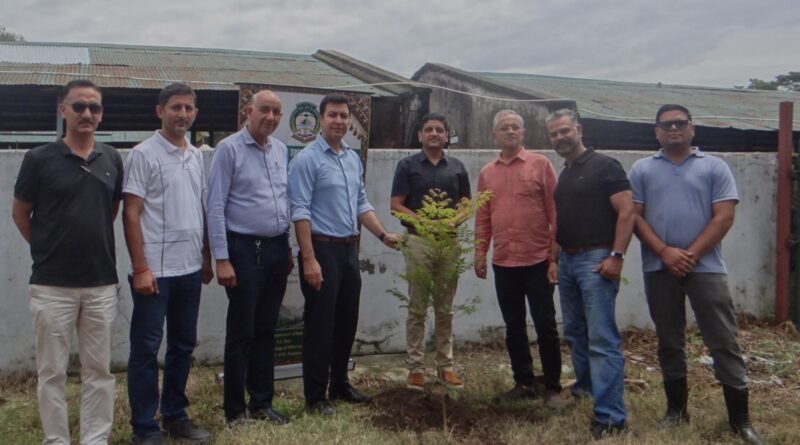 kangra-agri-univ-tree-plant