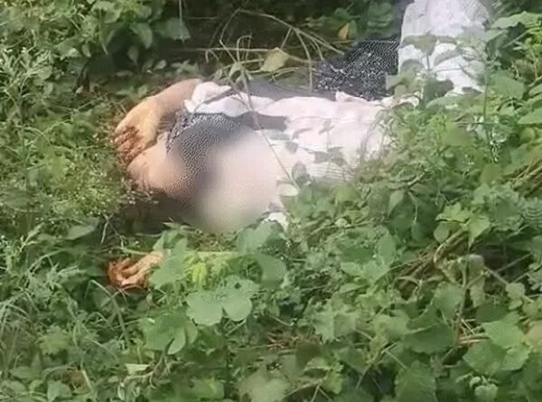 missing-girl-dead-body-found-in-bushes-in-gwalior