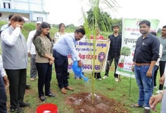 mp-ek-ped-maa-ke-naam-campaign-to-be-held-in-colle
