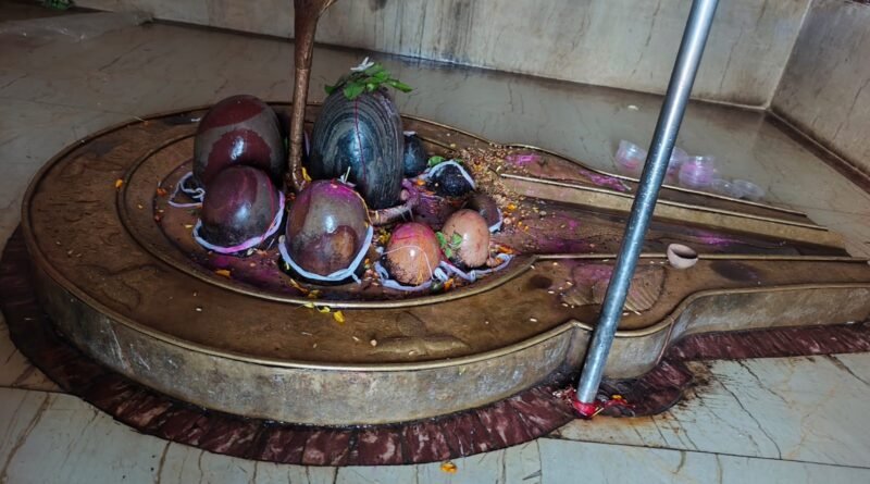 the-maa-narmada-origin-temple-