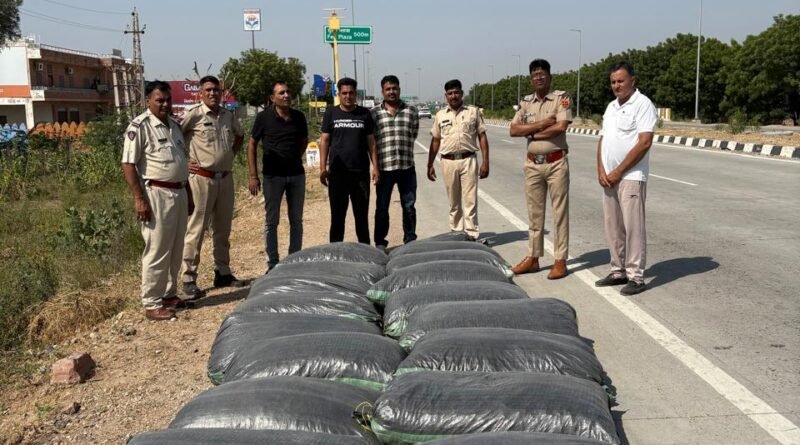 jodhpur-doda-chura-seized