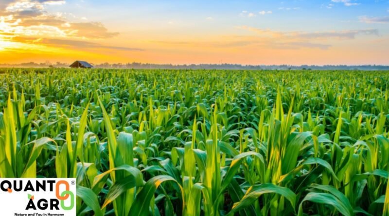 ipo-listing-quanto-agroworld
