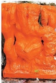 mentioned-in-the-ganesha-puran