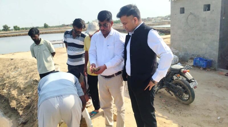 -sirsa-emerging-as-a-leader-in-shrimp-production