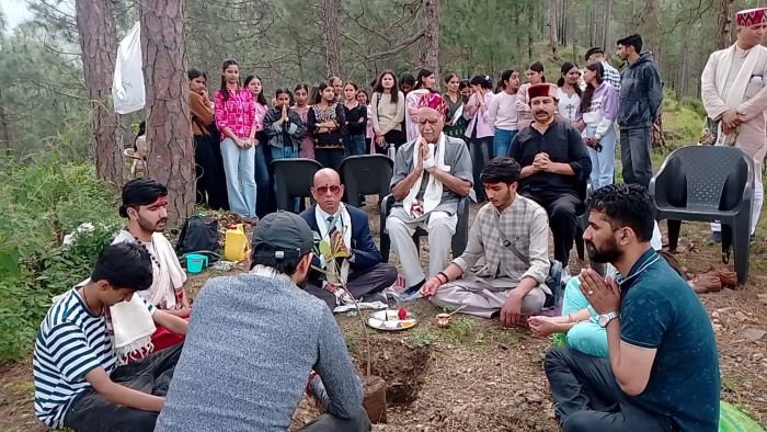 plantation-shok-bero-shimla