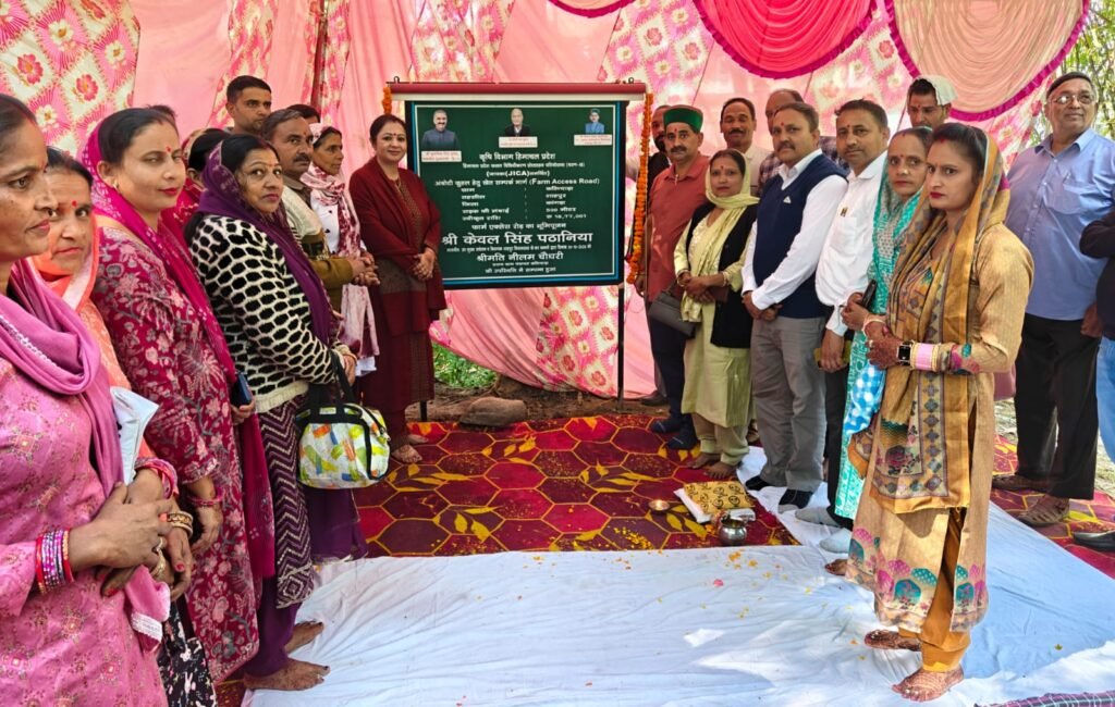 kangra-dy-whip-foundation-ston