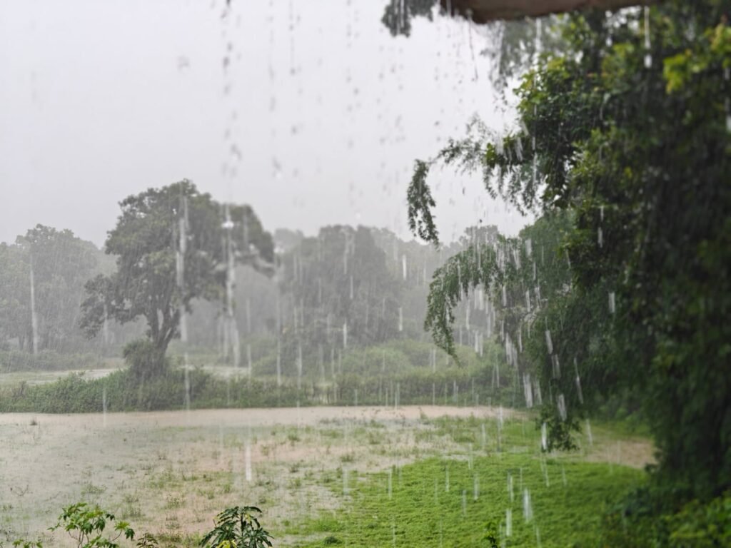 impact-of-cyclone-arnab-rain